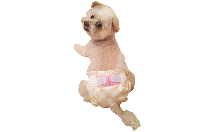 マナーおむつのび～るテープ付　SSS　64枚×6袋 ペット用品 犬用 日本製 雑貨 日用品 防災 防災グッズ 