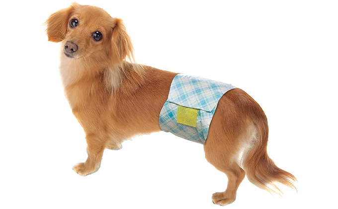 マナーおむつおしっこ用　中～大型　24枚×6袋　ペット用品 犬用 日本製 雑貨 日用品 防災 防災グッズ 