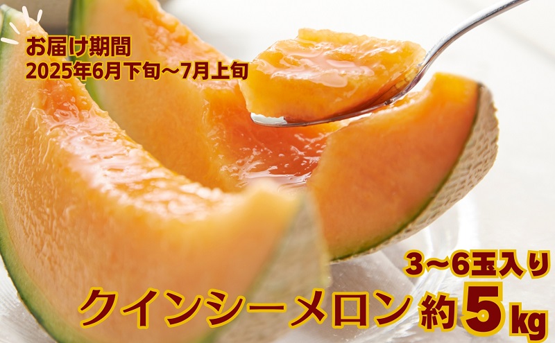 クインシー メロン（赤肉）約5kg 果物類 フルーツ メロン赤肉