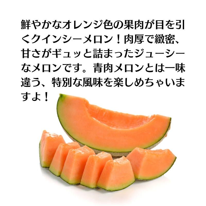 クインシー メロン（赤肉）約5kg 果物類 フルーツ メロン赤肉 