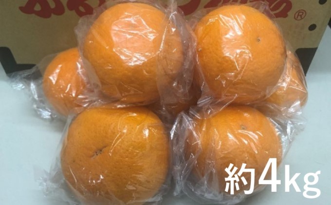 貯蔵 清見 約4kg 果物類 柑橘類 フルーツ 柑橘