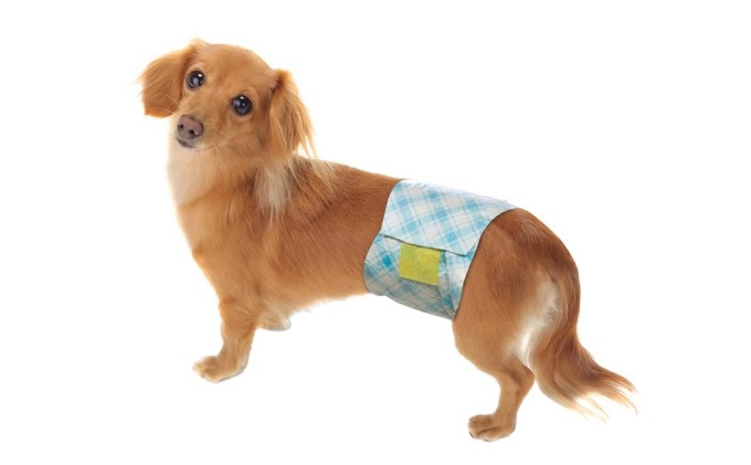 マナー おむつ おしっこ用 大型犬 20枚×6袋 ※配送不可：離島 雑貨 日用品 ペット用品 防災 防災グッズ 