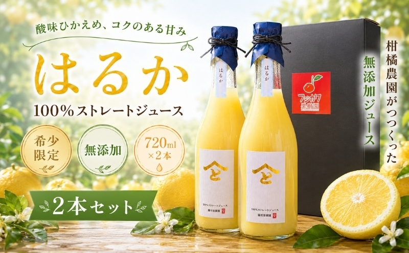 希少限定！無添加 はるか 100％ストレートジュース720ml 2本セット 果汁飲料 みかんジュース 飲料類