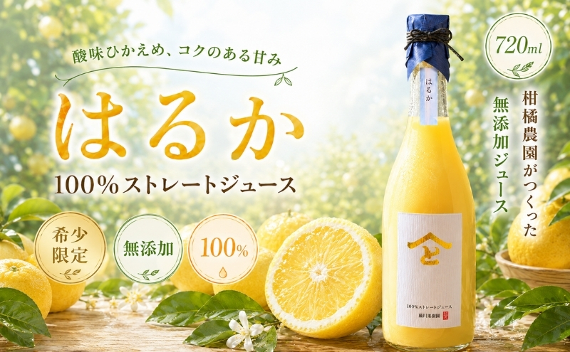 希少限定！無添加 はるか 100％ストレートジュース720ml（単品） 果汁飲料 みかんジュース 飲料類