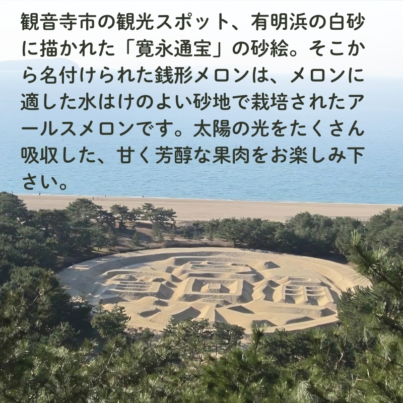 銭形メロン 4～6玉入り 約7.5kg ［アールスメロン］ 果物類 フルーツ 