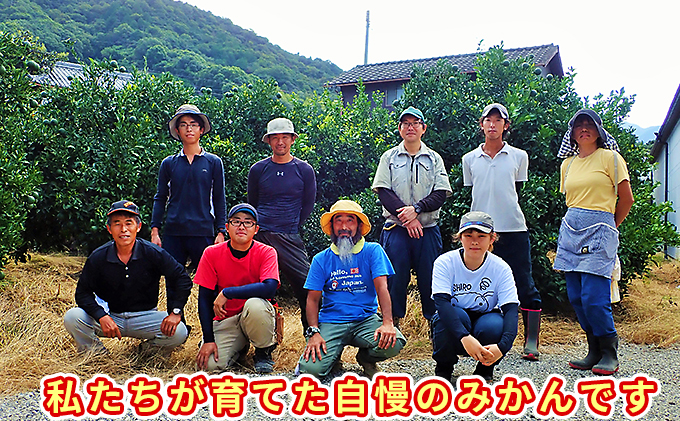 2026蟷エ蜈郁。御コ育エ 繧サ繝溘ヮ繝シ繝ォ縲邏3kg 譫懃黄鬘 譟第ゥ倬。 繝輔Ν繝シ繝