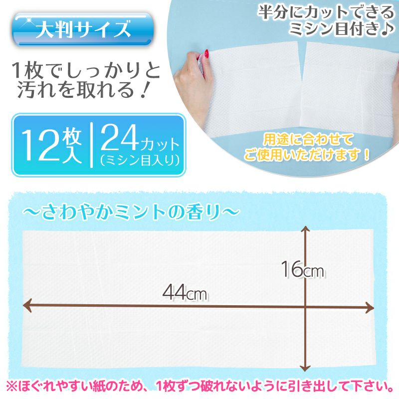 M89-0027_ＧＮ超厚流せるトイレクリーナー大判（１２枚×２パック）×２０袋