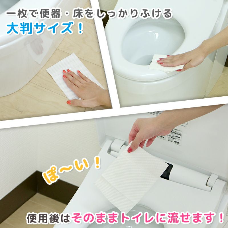 M89-0027_ＧＮ超厚流せるトイレクリーナー大判（１２枚×２パック）×２０袋