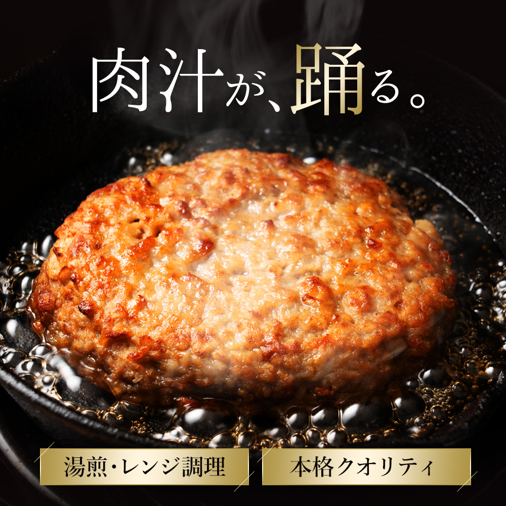 肉屋のデミソースハンバーグ 10個_M153-0034-1