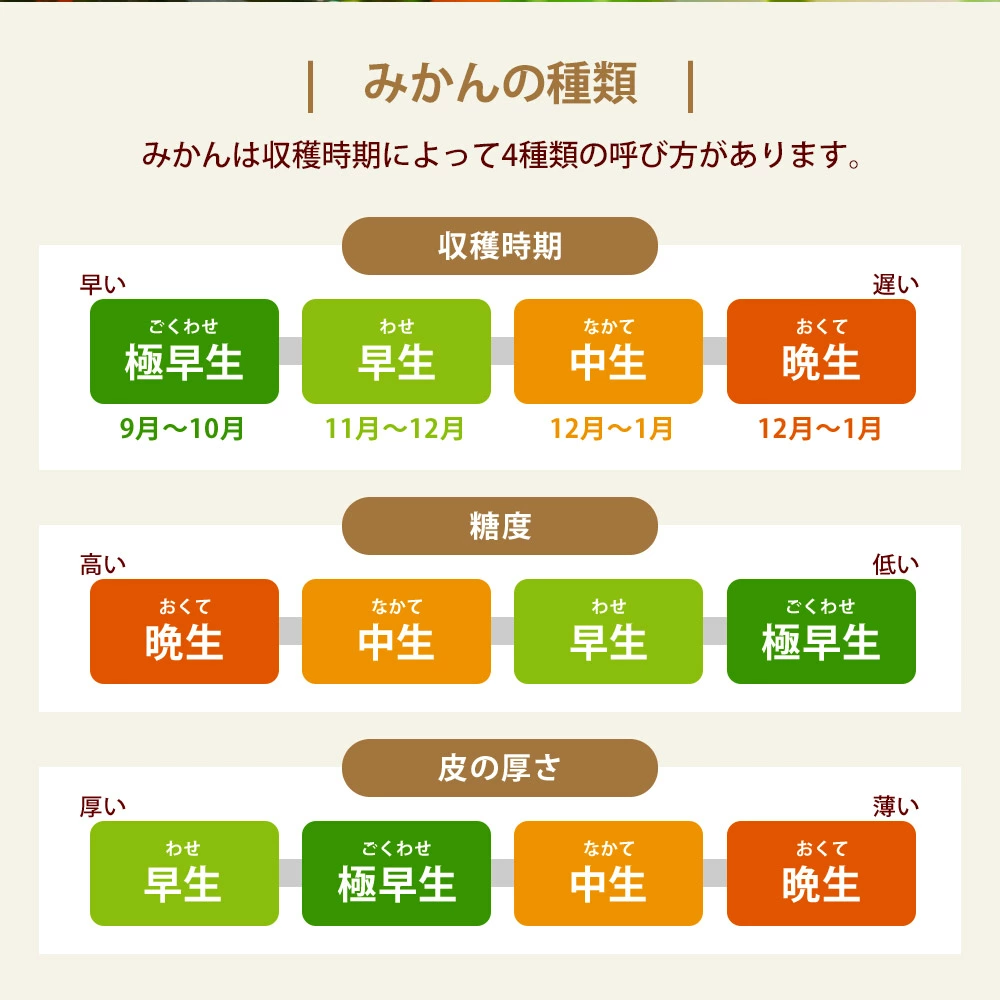 M160-0021-11_【配送不可地域：北海道・沖縄県・離島】晩生みかん 8kg