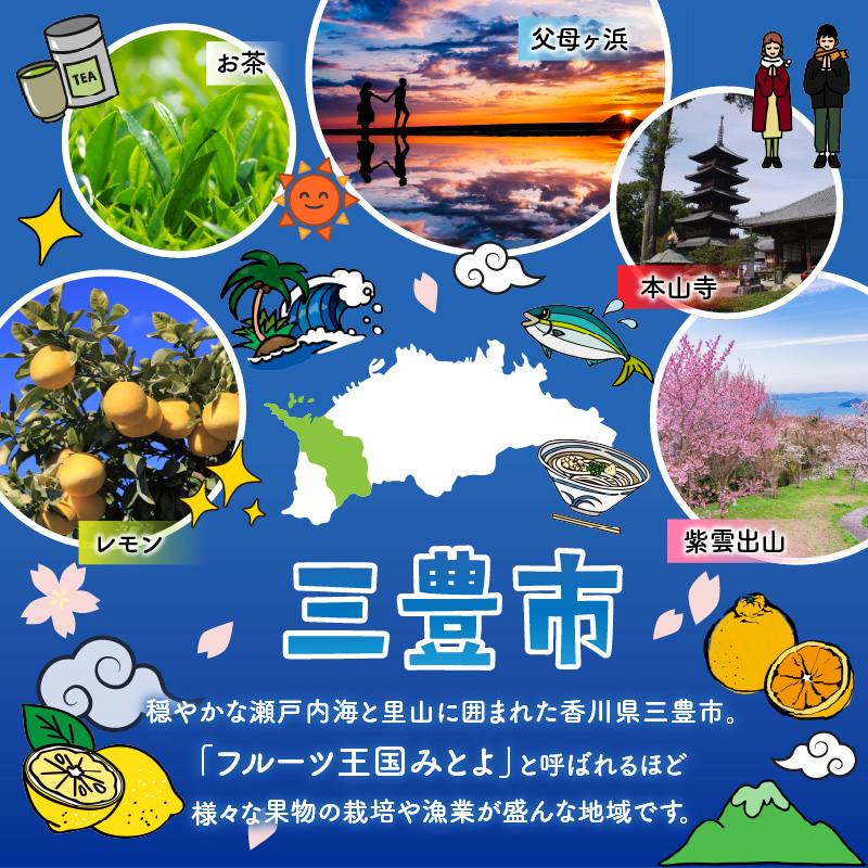 フルーツ定期便 3回 三豊市 極早生みかん2.5kg 早生みかん 2.5kg 晩生みかん2.5kg【配送不可地域：北海道・沖縄県・離島】_M160-0027