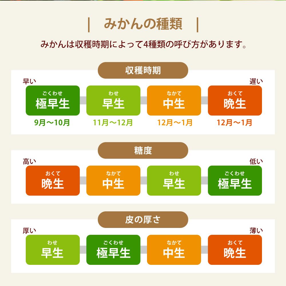 M160-0021-12_【配送不可地域：北海道・沖縄県・離島】晩生みかん 10kg