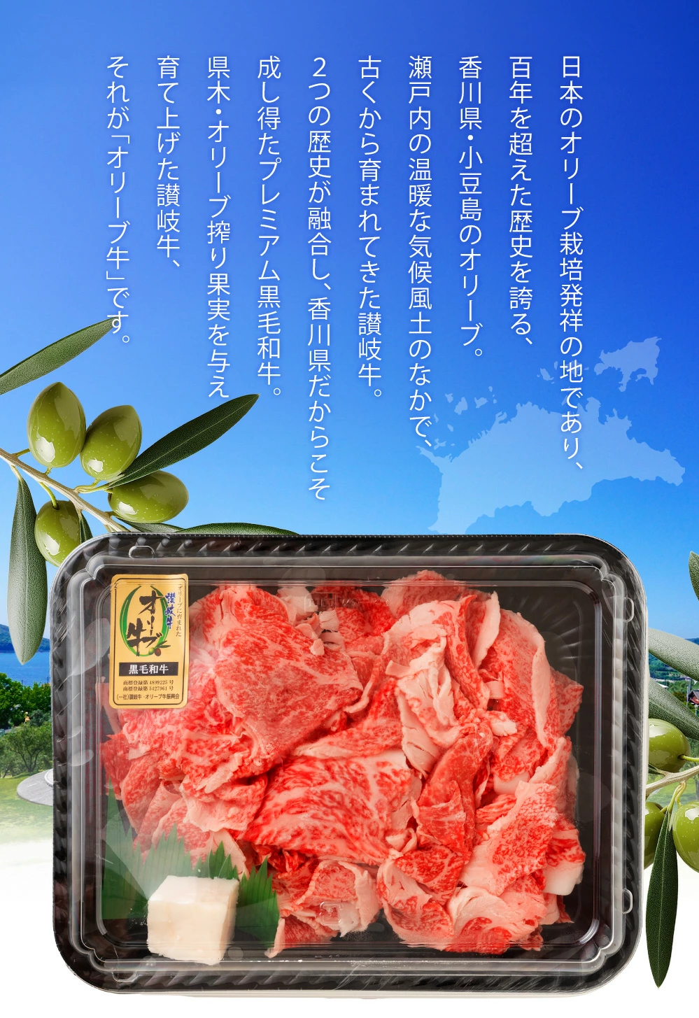 M18-0015_黒毛和牛 切り落とし 牛肉 オリーブ牛 約 500g 3パック 計 1.5kg