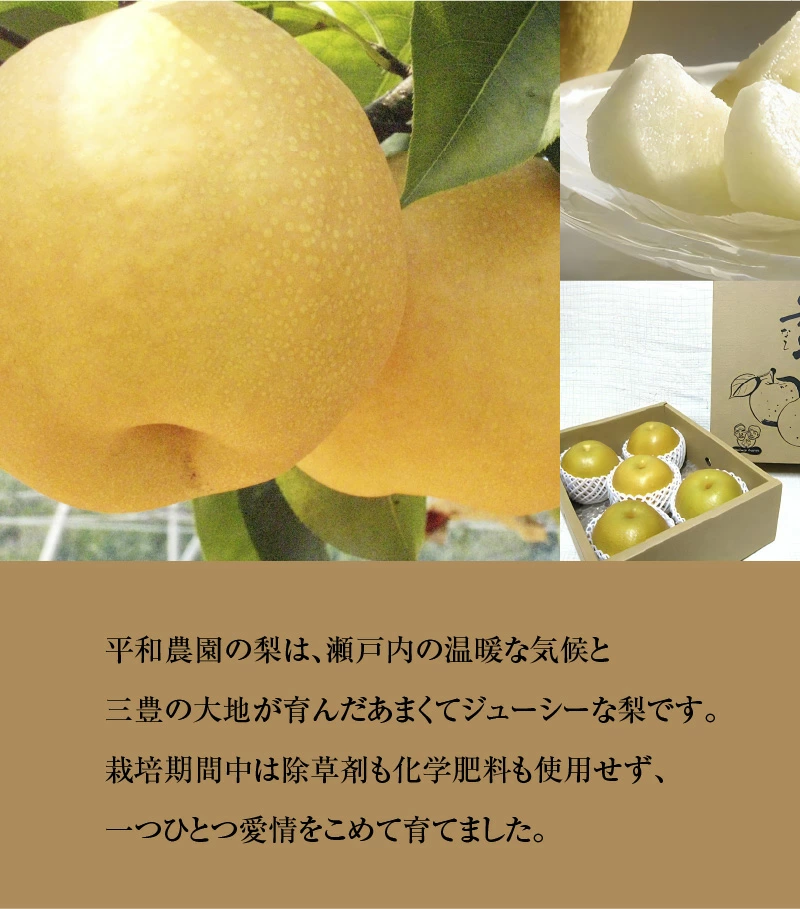 M32-0006_平和農園の幸水・豊水・新高梨食べ比べ定期便