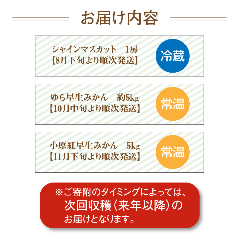 M64-0049_産地厳選三豊のフルーツ3回定期便 I