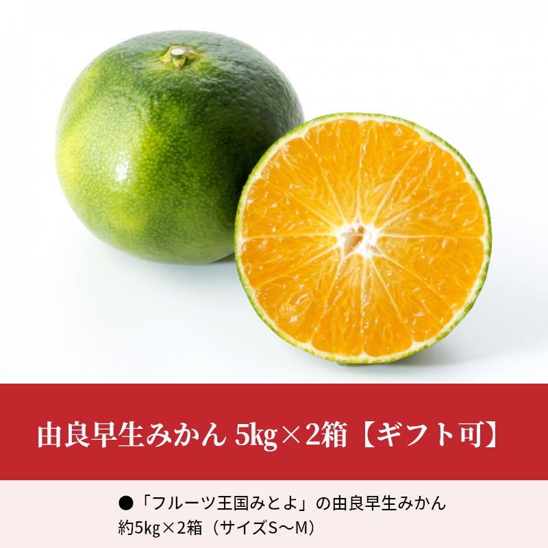 M72-0013_【10月上旬より】由良早生みかん 5kg×2箱【ギフト可】