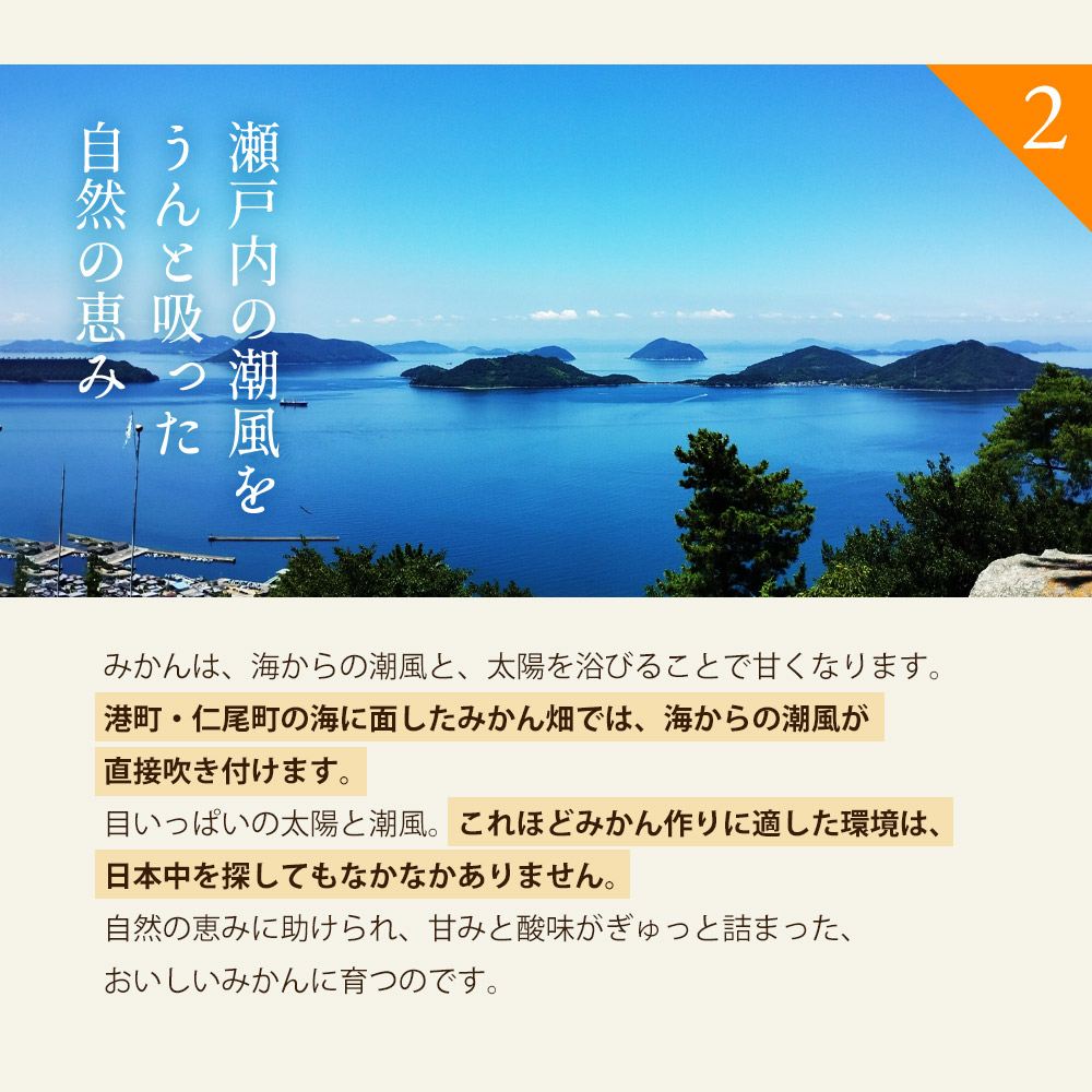 【配送不可地域：北海道・沖縄県・離島】晩生みかん 2.5kg_M160-0021-7