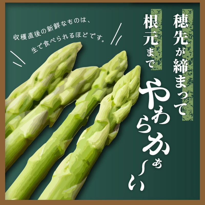 M02-0062_アスパラガス「さぬきのめざめ」約1.5kg(夏芽)