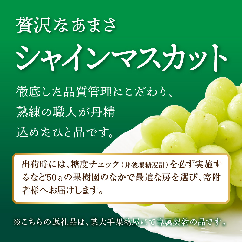 産地厳選三豊のフルーツ・お米３回定期便　G_M64-0047