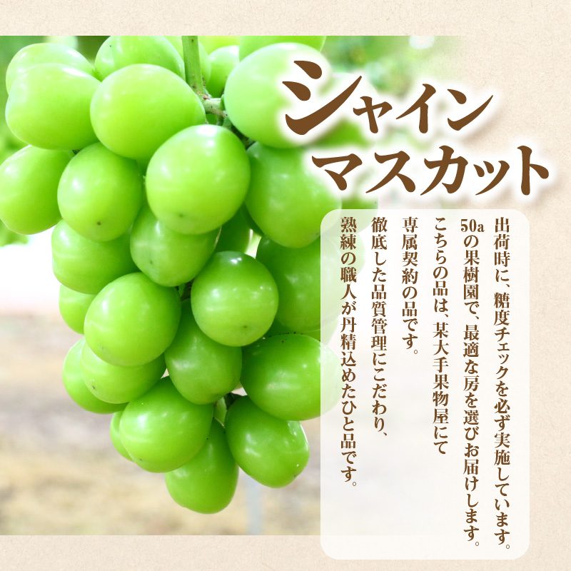 M64-0026_荳芽ア雁クゅヵ繝ォ繝シ繝2蝗槭♀螻翫¢螳壽悄萓ソA