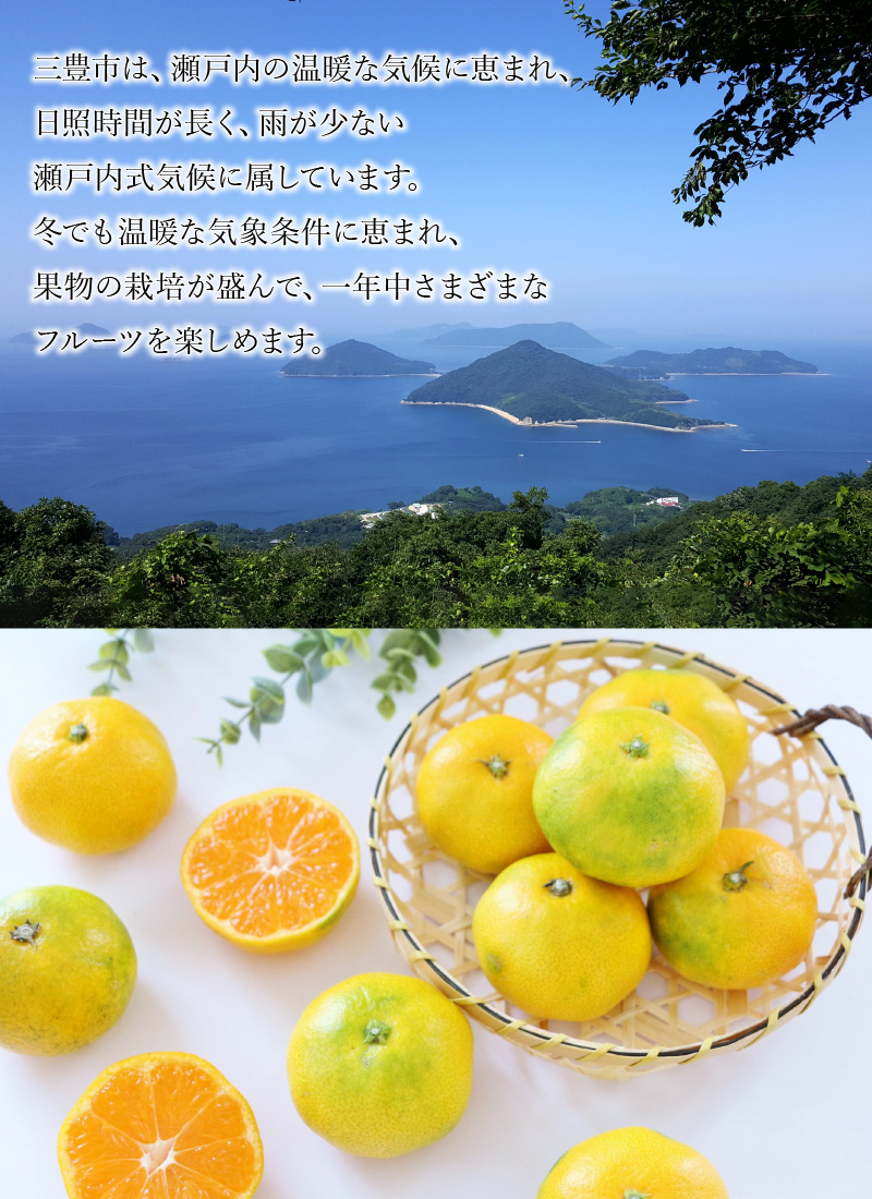 M64-0013_【10月中旬より発送】三豊市産 極上【ゆら早生みかん 約5kg】S〜Mサイズ