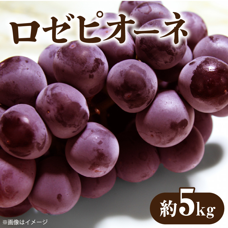 M02-0067_ロゼピオーネ 約5kg
