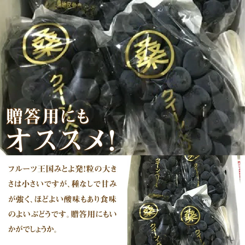 M02-0060_クイーンベリーA 約2kg