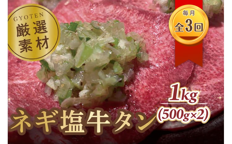 M183-0018-0_毎月お届け3回 葱塩牛タンスライス500g×2