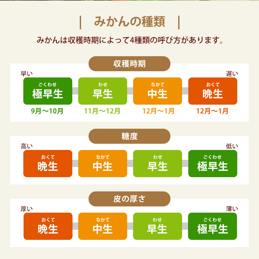 【配送不可地域：北海道・沖縄県・離島】石地みかん 10kg_M160-0021-6