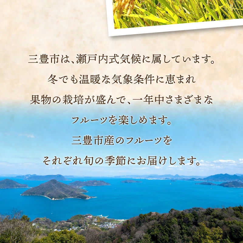 産地厳選三豊のフルーツ・お米３回定期便　K_M64-0051