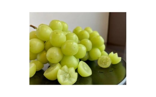 M102-0040_極撰!大房シャインマスカット 1房(約750g)