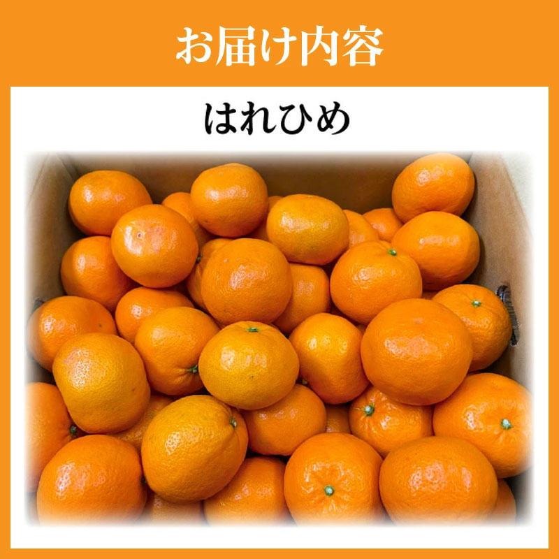 M02-0154_希少な柑橘「はれひめ」約10kg
