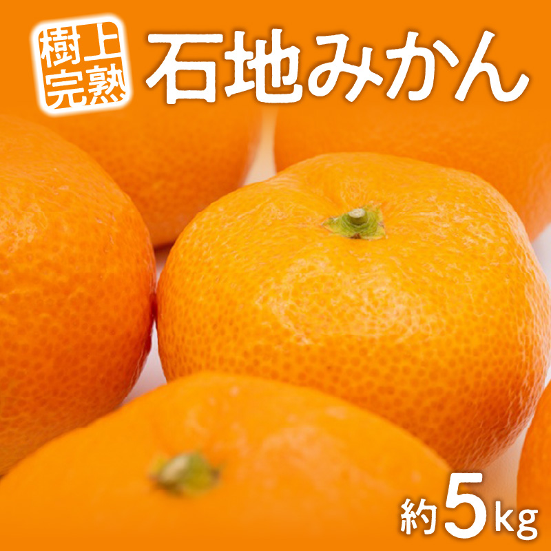 M02-0143_讓ケ荳雁ョ檎溘檎浹蝨ー縺ソ縺九s縲咲エ5kg
