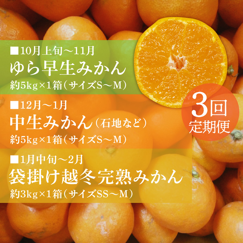 M72-0009_曽保みかん食べくらべ(3回定期便)