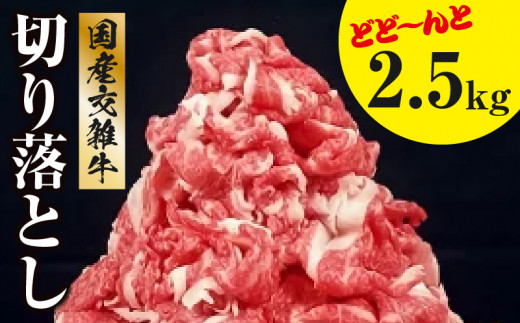 M18-0016_国産交雑牛切り落とし どど～んと2.5kg