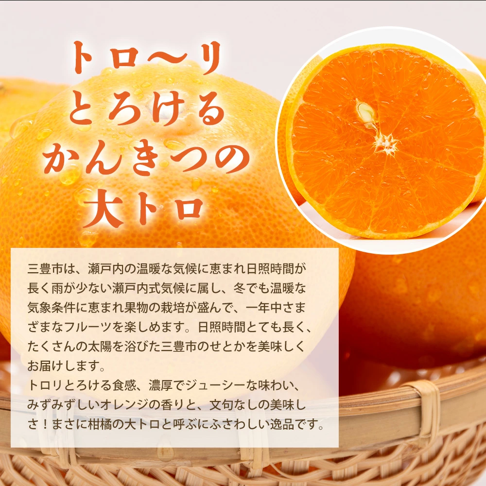 M64-0084_せとか 三豊市産 約5kg