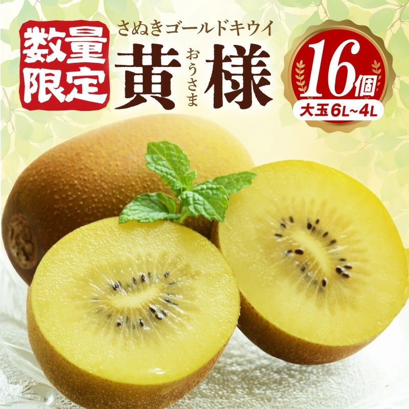 M72-0010_【ふるさと納税】【10月中旬より】さぬきゴールドキウイ「黄様」16個入り【数量限定】