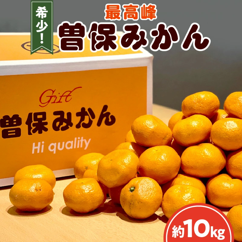 M102-0012_曽保みかん (約10kg)