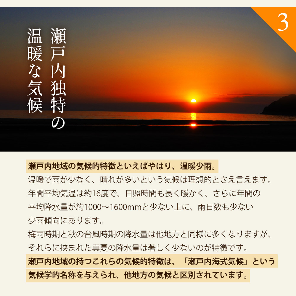 【配送不可地域：北海道・沖縄県・離島】晩生みかん 2.5kg_M160-0021-7