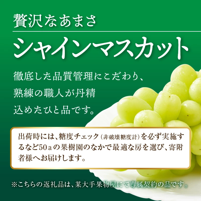 産地厳選三豊のフルーツ・お米３回定期便　T_M64-0060