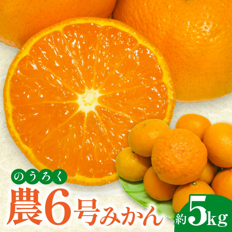 M02-0157_【ふるさと納税】農6号みかん(のうろく)約5kg