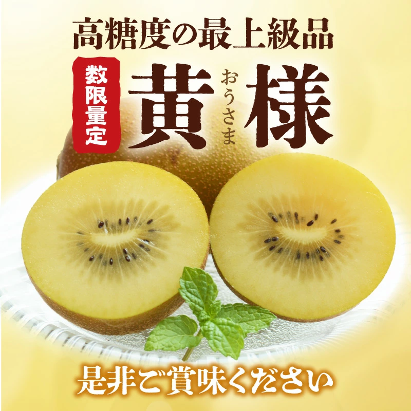 M72-0010_【10月中旬より】さぬきゴールドキウイ「黄様」16個入り【数量限定】