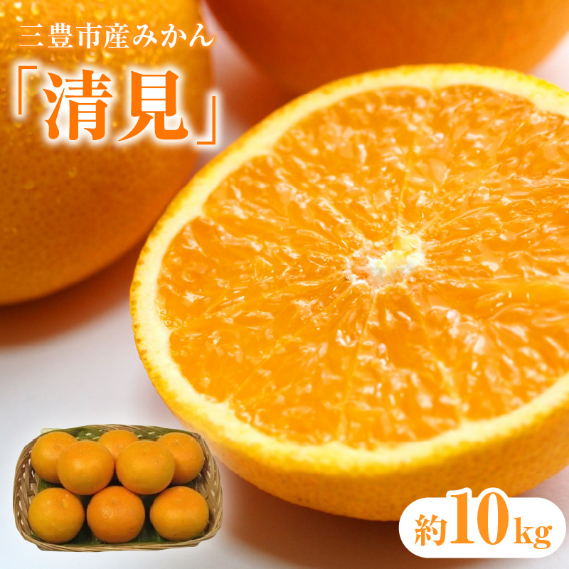 M02-0076_【ふるさと納税】三豊市産みかん「清見」約10kg