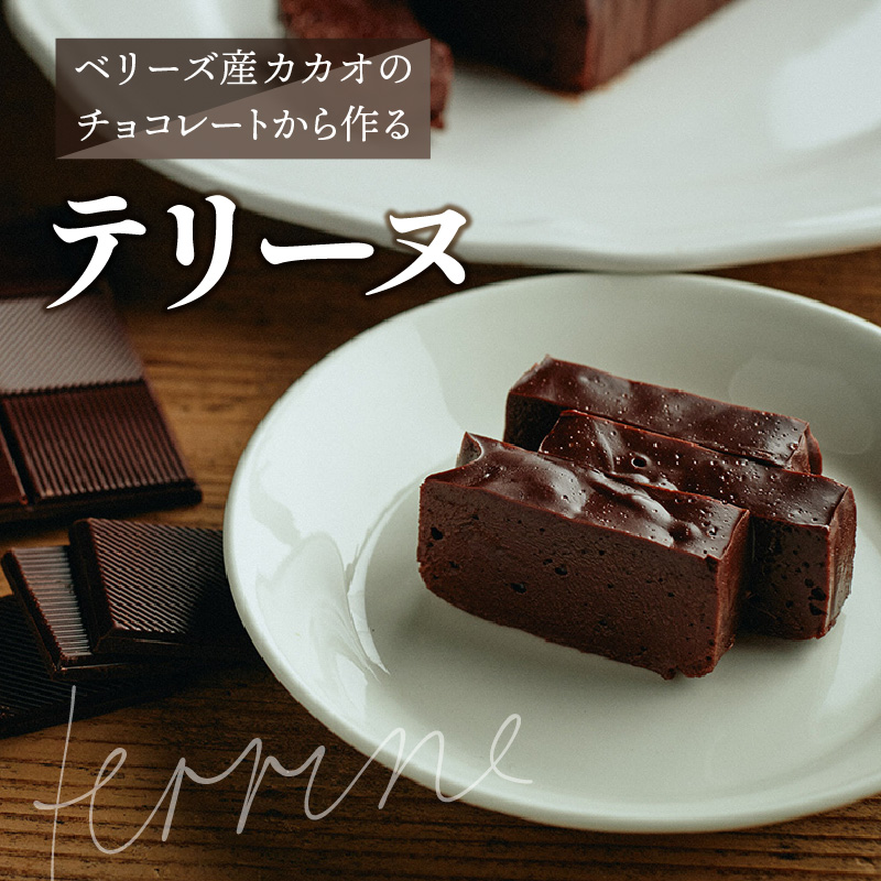 the TERRINE ベリーズ産カカオのチョコレートから作るテリーヌ_M71-0001