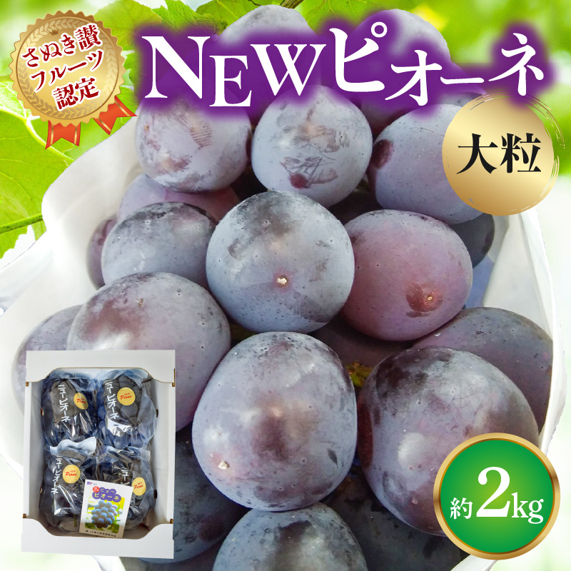 M72-0006_【8月1日から】【さぬき讃フルーツ】NEWピオーネぶどう 大粒約2kg