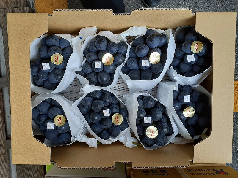 M72-0005_ã7æäžæ¬ãããããã¬ãè®ãã«ãŒããNEWããªãŒã çŽ5kg