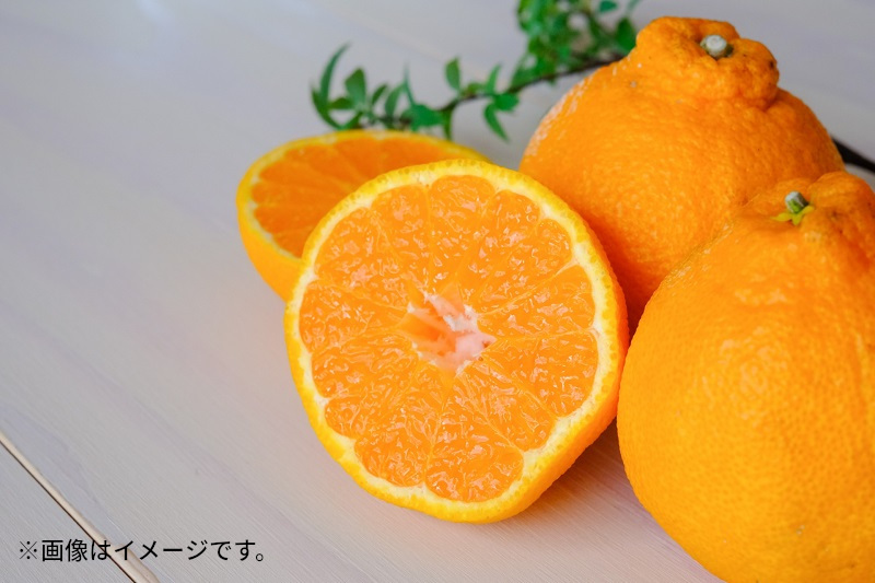 M102-0010_ 蜴ウ驕ク繝繧ウ繝昴Φ (邏3kg)
