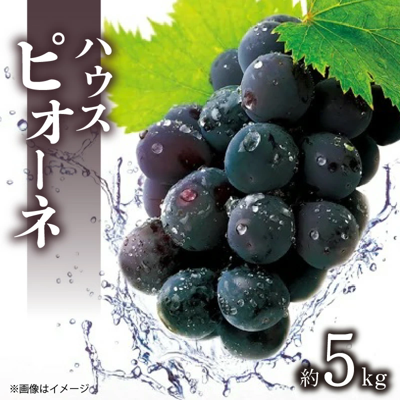 M02-0061_ハウスピオーネ 約5kg