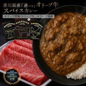 [ふるさと納税] レトルトカレー グルテンフリー [ 詰め合わせ カレー セット 人気 グルメ ギフト 台 地鶏 送料無料 返礼品 香川県 三豊市 讃岐罐詰株式会社 ]