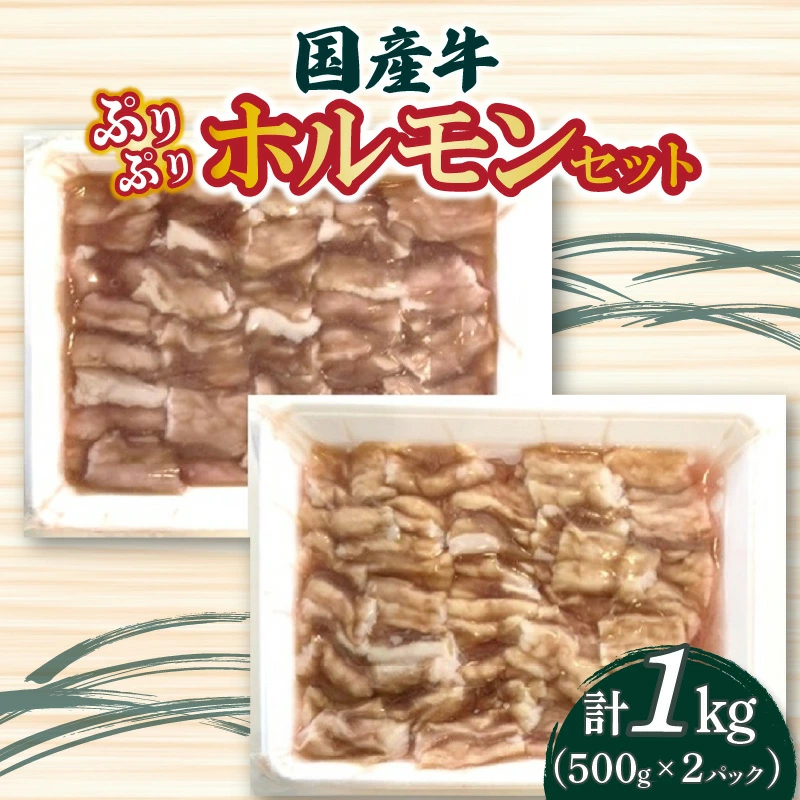 M04-0101_【ふるさと納税】国産牛ぷりぷりホルモンセット